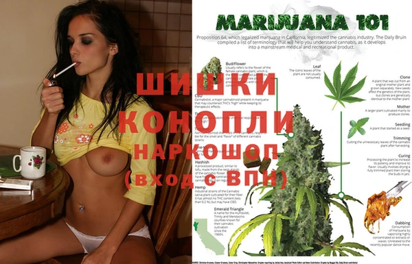 дурь Алексеевка