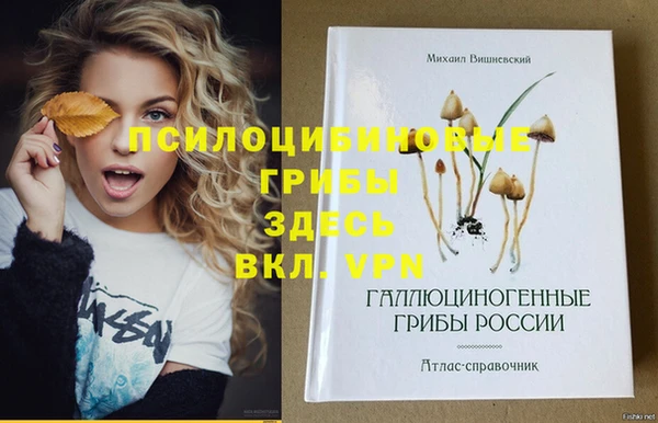 Альфа ПВП Абдулино