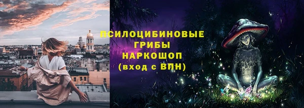 дурь Алексеевка