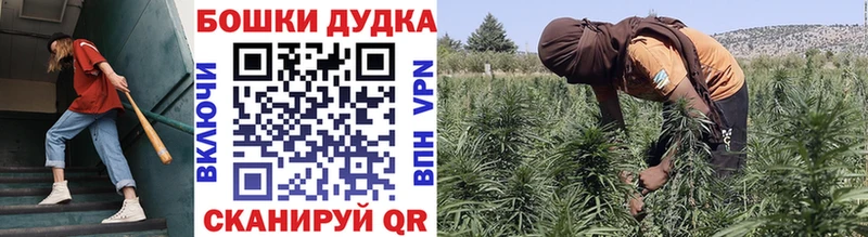 Бошки марихуана Ganja  МЕГА вход  Железногорск-Илимский 